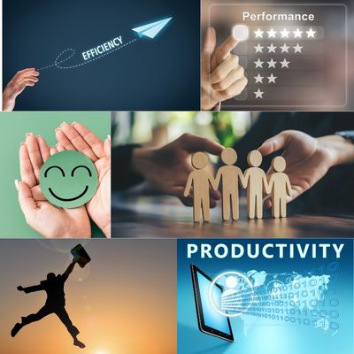 La REFLEXOLOGIE PALMAIRE : Une pratique BIEN-&Ecirc;TRE au service de la PERFORMANCE